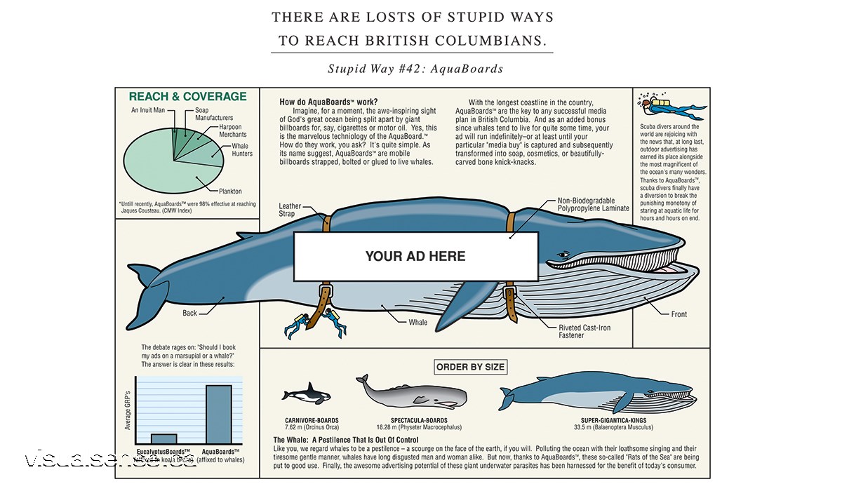 aqua boards